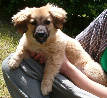 Daisy a Janne