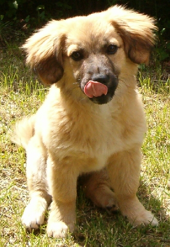 Daisy mňam